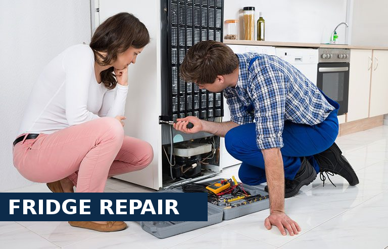Fridge Repair Esher